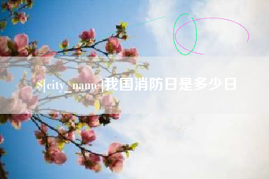 宁夏我国消防日是多少日