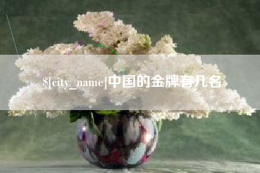 宁夏中国的金牌有几名