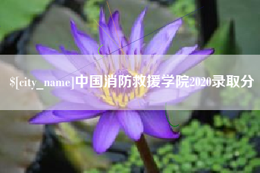 宁夏中国消防救援学院2020录取分