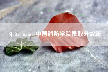 宁夏中国消防学院录取分数线