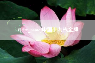 宁夏中国十九枚金牌