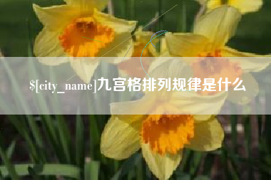 宁夏九宫格排列规律是什么