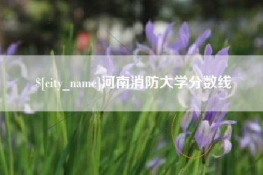 宁夏河南消防大学分数线