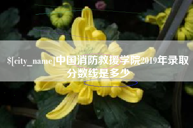 宁夏中国消防救援学院2019年录取分数线是多少
