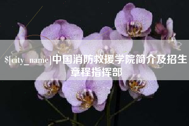 宁夏中国消防救援学院简介及招生章程指挥部