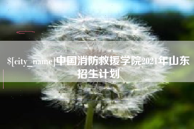 宁夏中国消防救援学院2021年山东招生计划