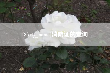 宁夏消防证的查询