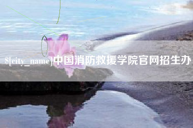 宁夏中国消防救援学院官网招生办