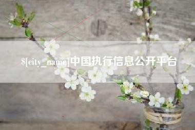 宁夏中国执行信息公开平台