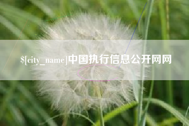 宁夏中国执行信息公开网网
