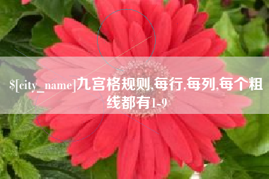 宁夏九宫格规则,每行,每列,每个粗线都有1-9