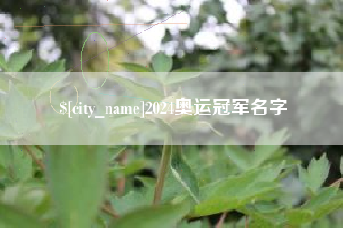 宁夏2024奥运冠军名字