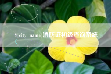 宁夏消防证初级查询系统