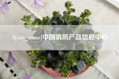 宁夏中国消防产品信息中心