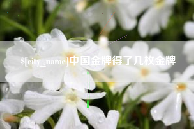 宁夏中国金牌得了几枚金牌