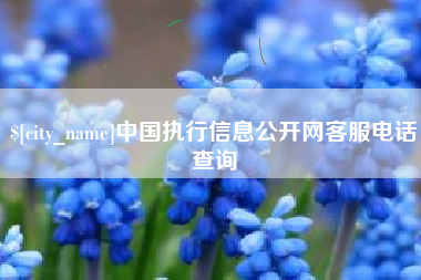 宁夏中国执行信息公开网客服电话查询