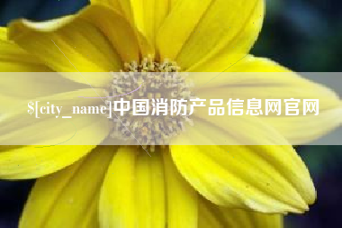 宁夏中国消防产品信息网官网