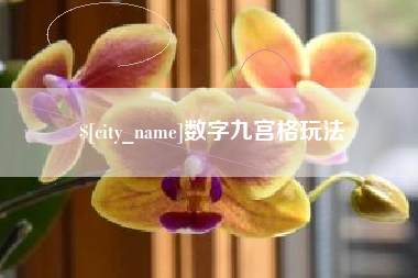 宁夏数字九宫格玩法