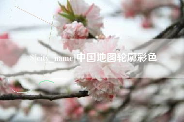 宁夏中国地图轮廓彩色