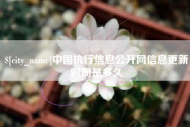 宁夏中国执行信息公开网信息更新时间是多久