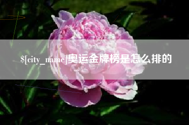 宁夏奥运金牌榜是怎么排的
