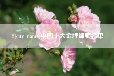 宁夏中国十大金牌律师名单