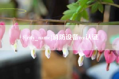 宁夏消防设备ccc认证