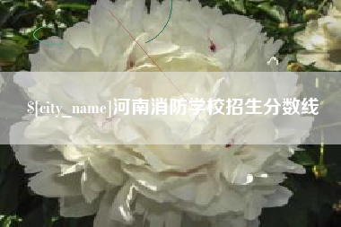 宁夏河南消防学校招生分数线