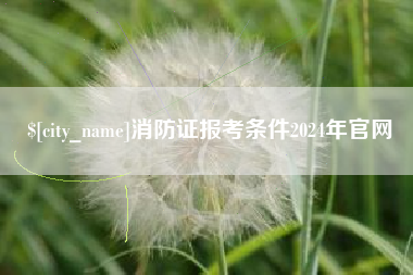 宁夏消防证报考条件2024年官网