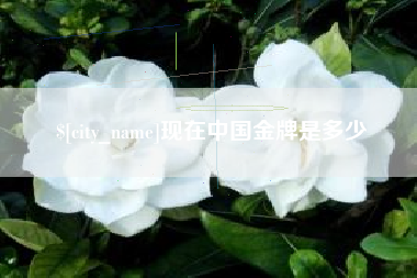 宁夏现在中国金牌是多少