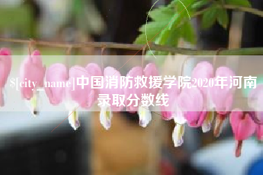 宁夏中国消防救援学院2020年河南录取分数线