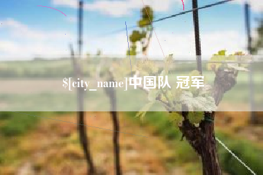 宁夏中国队 冠军