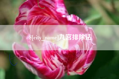 宁夏九宫排除法
