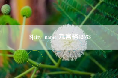 宁夏九宫格42633