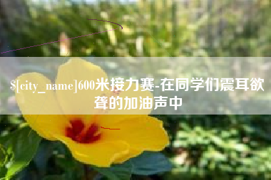 宁夏600米接力赛-在同学们震耳欲聋的加油声中