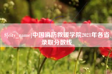 宁夏中国消防救援学院2021年各省录取分数线