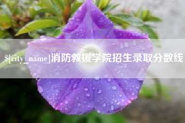 宁夏消防救援学院招生录取分数线