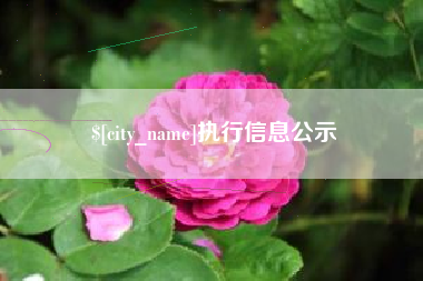 宁夏执行信息公示