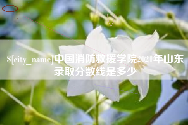 宁夏中国消防救援学院2021年山东录取分数线是多少