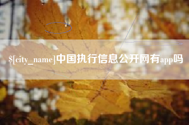 宁夏中国执行信息公开网有app吗