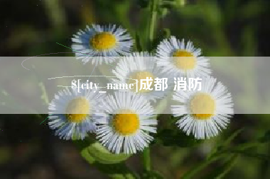 宁夏成都 消防