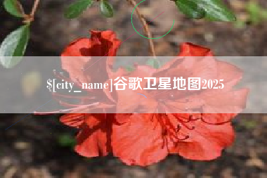 宁夏谷歌卫星地图2025