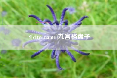宁夏九宫格盘子