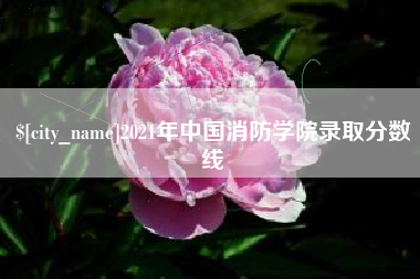 宁夏2021年中国消防学院录取分数线