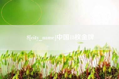 宁夏中国18枚金牌