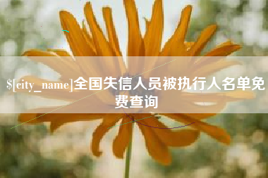 宁夏全国失信人员被执行人名单免费查询