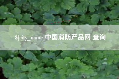 宁夏中国消防产品网 查询
