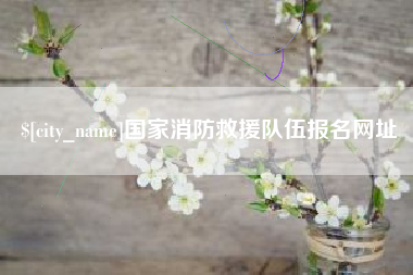 宁夏国家消防救援队伍报名网址