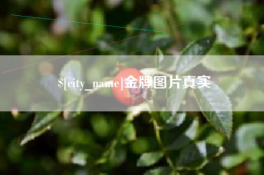宁夏金牌图片真实