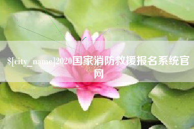 宁夏2020国家消防救援报名系统官网